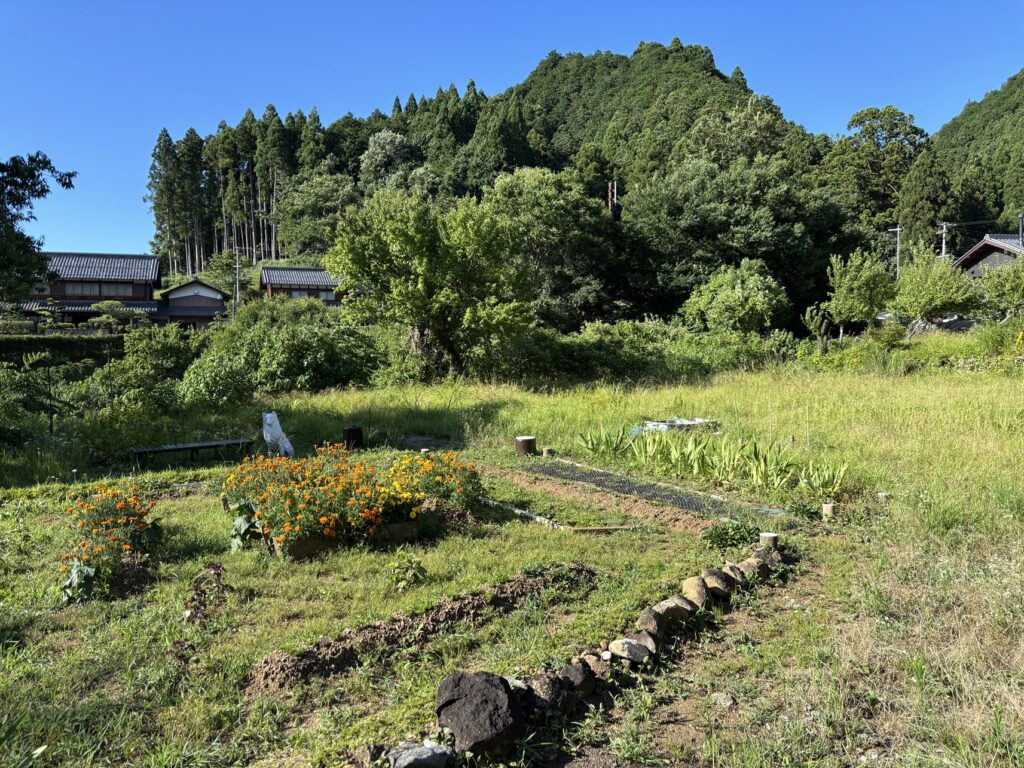 多賀永源寺線沿いの前面道路から見た多賀町の空き地。周囲は緑豊かな住宅地。