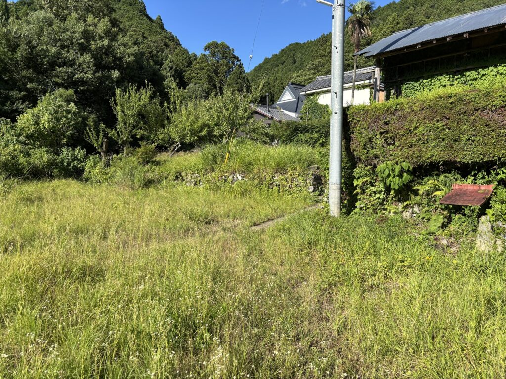多賀町の緑に囲まれた空き地。周囲は樹木や生け垣に囲まれ、自然豊かな環境。