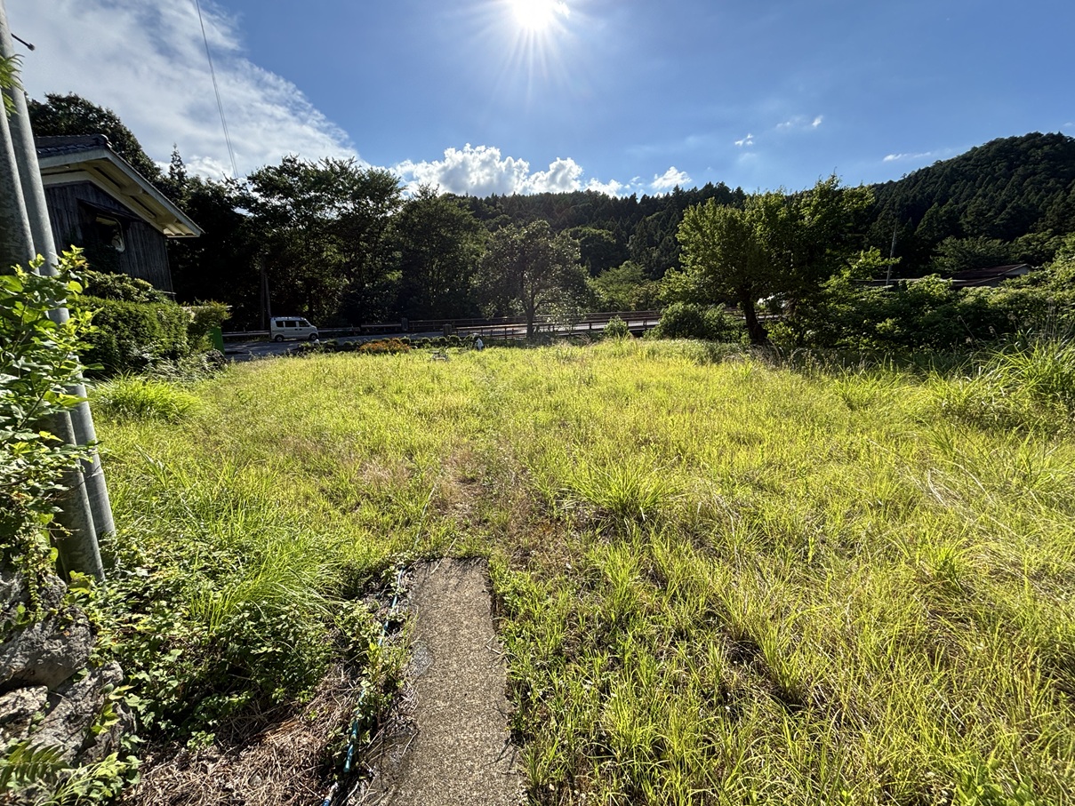 多賀町の自然に囲まれた空き地。日当たりの良い草地が広がっています。